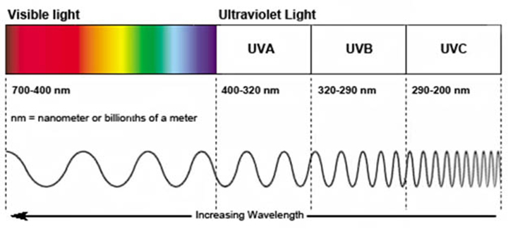UVA_and_UVB_lamps_in_UV_test_chambers1.jpg UVA_and_UVB_lamps_in_UV_test_chambers1.jpg