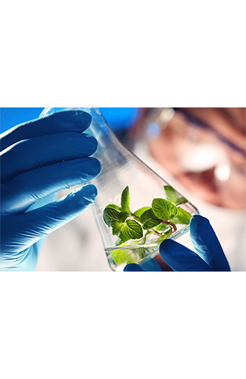 Buồng thử nghiệm môi trường cho sinh học