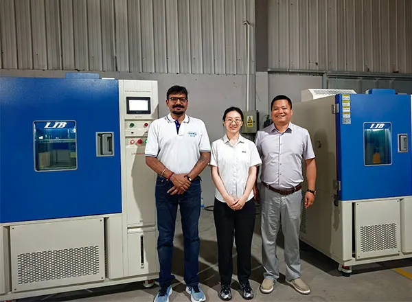 Buồng thử khí độc: Hướng dẫn toàn diện & Tại sao khách hàng Ấn Độ chọn dịch vụ kiểm tra và đào tạo của LIB Industry